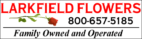 Larkfield Banner